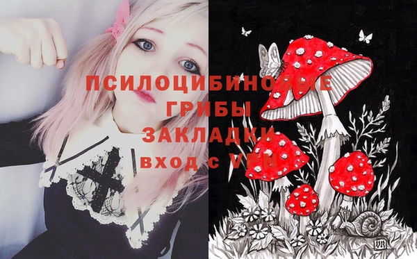 МДПВ Арсеньев