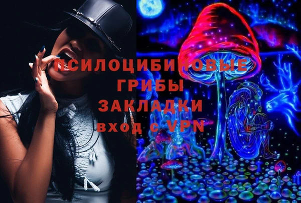 МДПВ Арсеньев