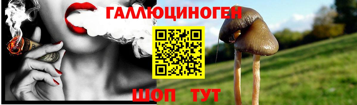 Галлюциногенные грибы Psilocybine cubensis  Вход с VPN  Псилоцибиновые грибы GOLDEN TEACHER  Сыктывкар 