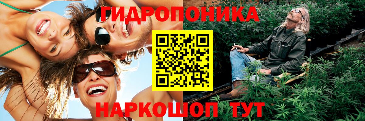 Бошки Шишки тримм Сыктывкар